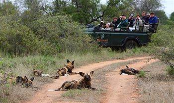 Motswari Private Game Reserve - Timbavati Klaserie Private Nature Reserve Luaran gambar