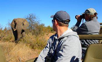 Motswari Private Game Reserve - Timbavati Klaserie Private Nature Reserve Luaran gambar