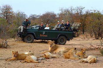 Motswari Private Game Reserve - Timbavati Klaserie Private Nature Reserve Luaran gambar