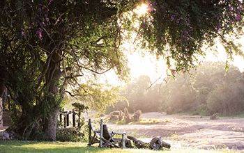Motswari Private Game Reserve - Timbavati Klaserie Private Nature Reserve Luaran gambar