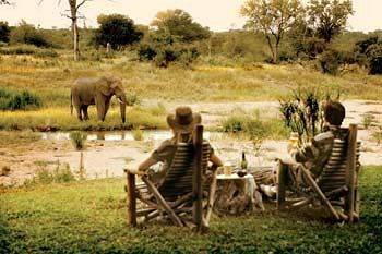 Motswari Private Game Reserve - Timbavati Klaserie Private Nature Reserve Luaran gambar